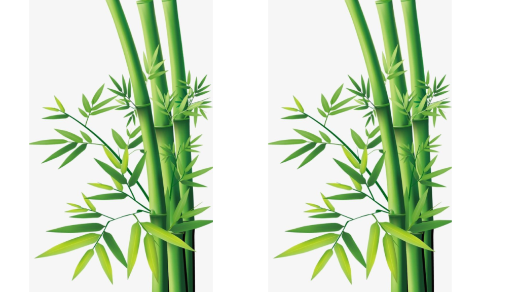 An Ai generative image of a bamboo. 