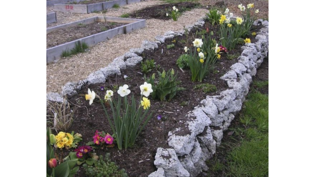 A photo of a concrete which is reused and recycled for gardening purpose. 