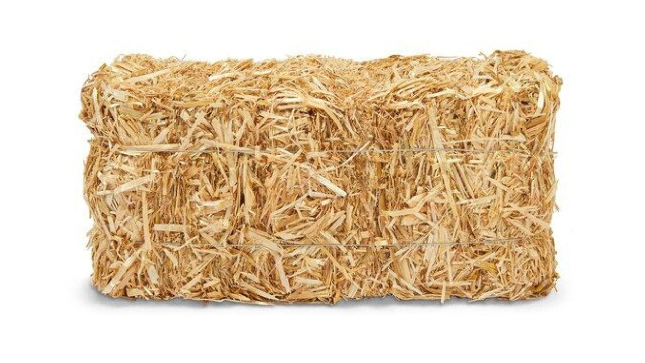 Green Building and Eco-Friendly Homes - We Care Earth