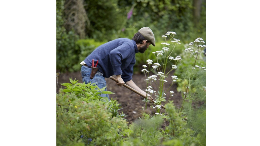 Photo of admin on sustainable living journey. 