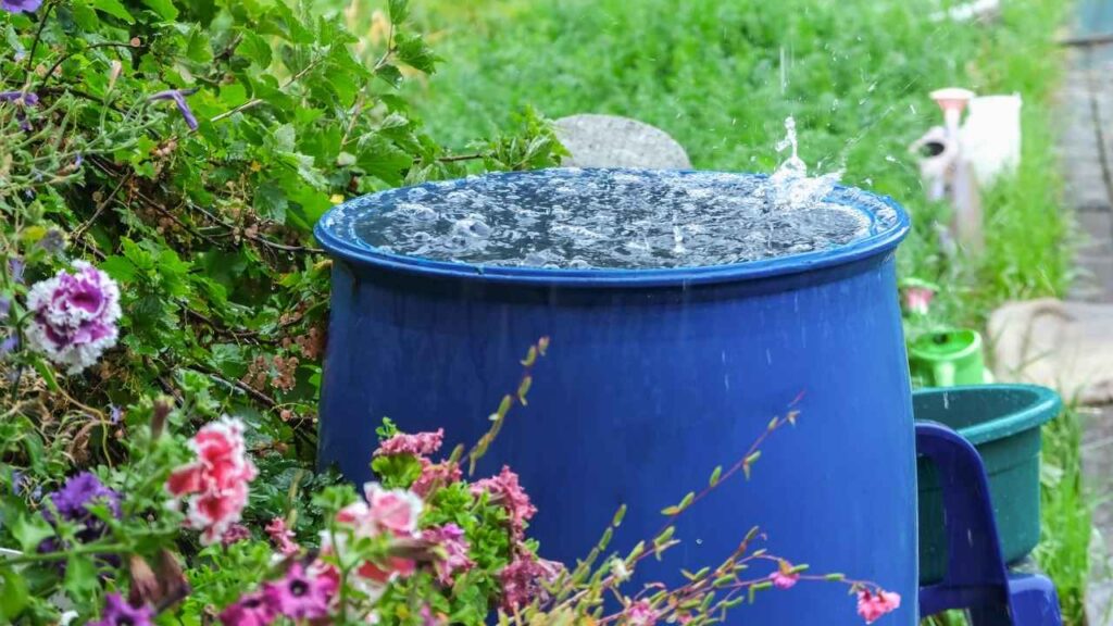 A photo referencing an example of Rainwater harvesting.