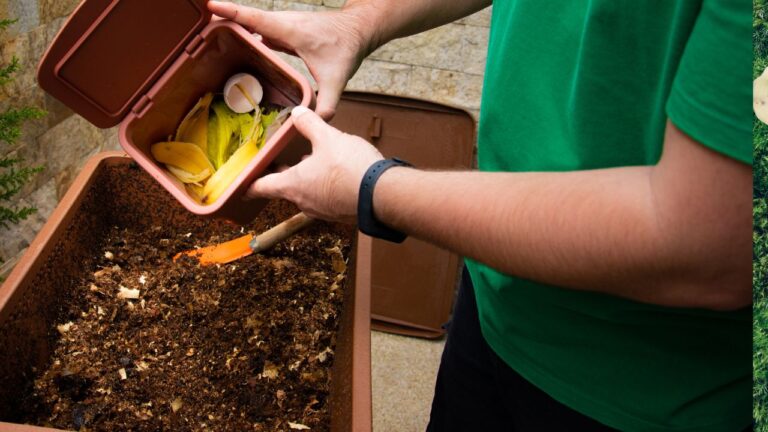 Understand Composting from Kitchen Waste in 5 Minutes.