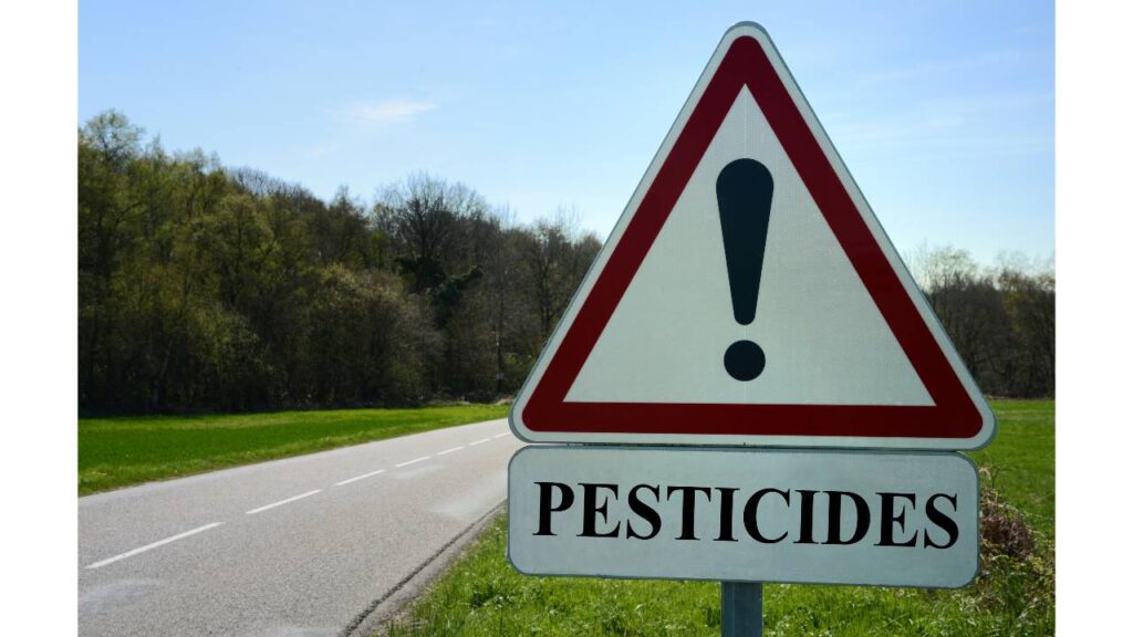 A Photo Referencing No To Pesticides. 