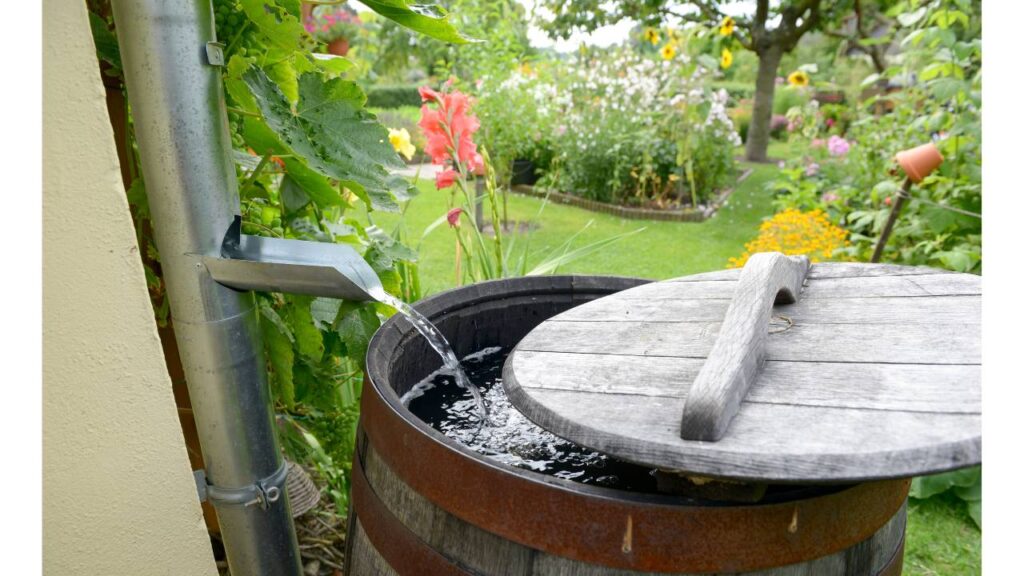 A photo referencing rain barrels. 