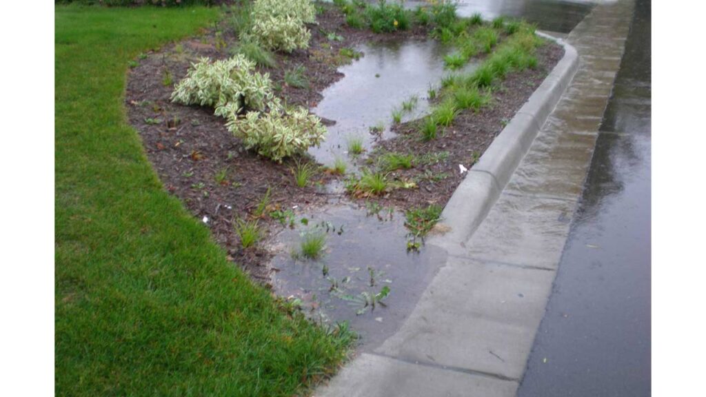 A photo referencing Rain gardens. 