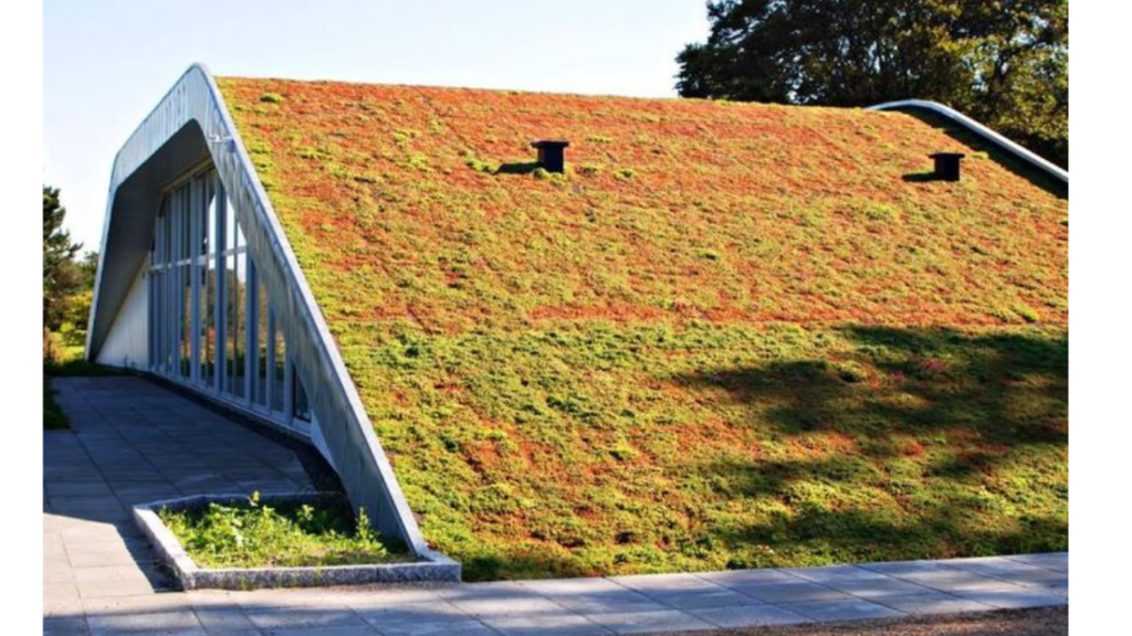 A Picture of a Green Roof Home. 