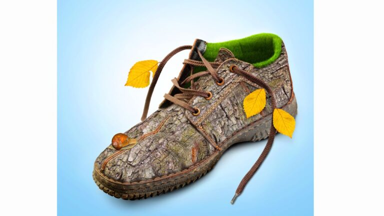 Why Choose Eco shoes? 6 sneaker brands good for the soil & soul