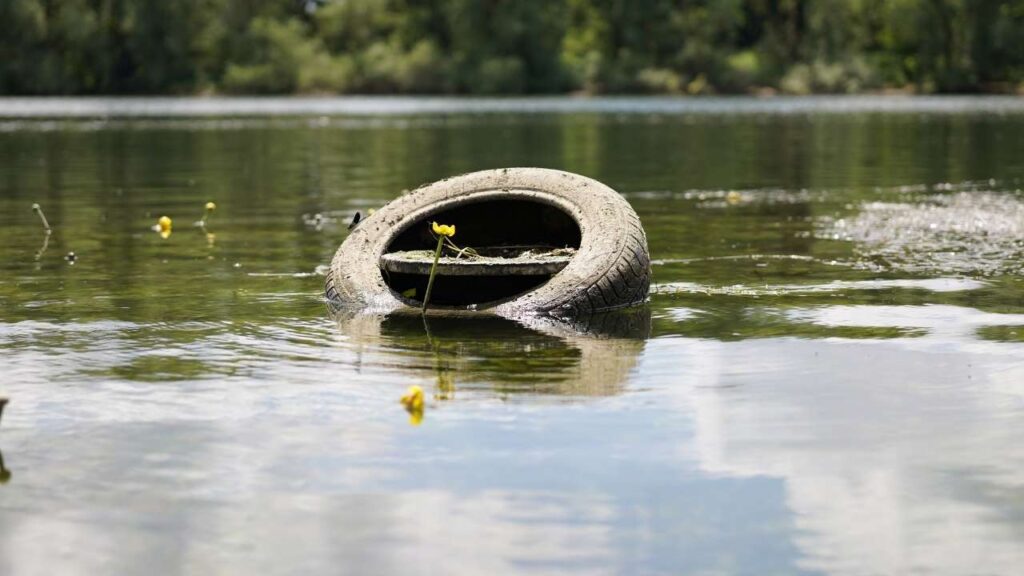 - Image of water in the tire referencing habitat modification - 
Control pest in eco friendly way | Bug out without bugging out the planet blog post by wecareearth.com  #ecofriendlymethodsofpestcontrol