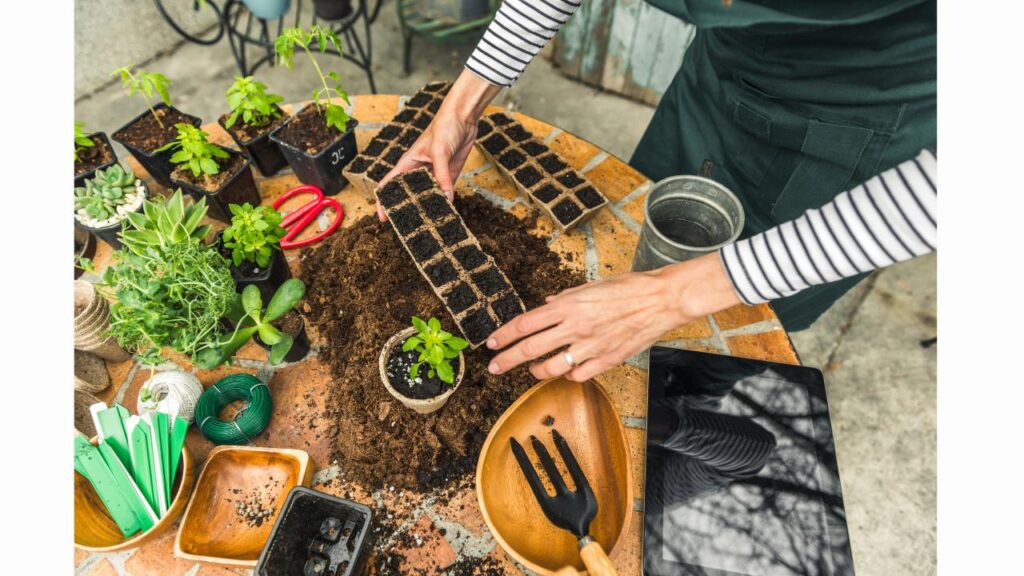 What is biodegradable & What are biodegradable products? #biodegradableproducts #roleofbiodegradation #exampleofbiodegradableproducts #challenges #advantages  