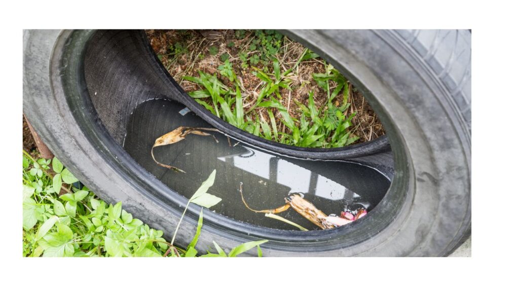 - Image of water in the tire referencing habitat modification - 
Control pest in eco friendly way | Bug out without bugging out the planet blog post by wecareearth.com  #ecofriendlymethodsofpestcontrol