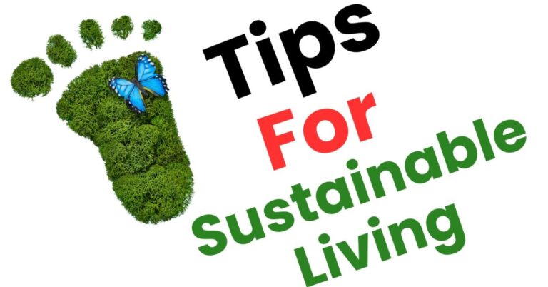 Tips for sustainable living, 20 Ways to start your green life