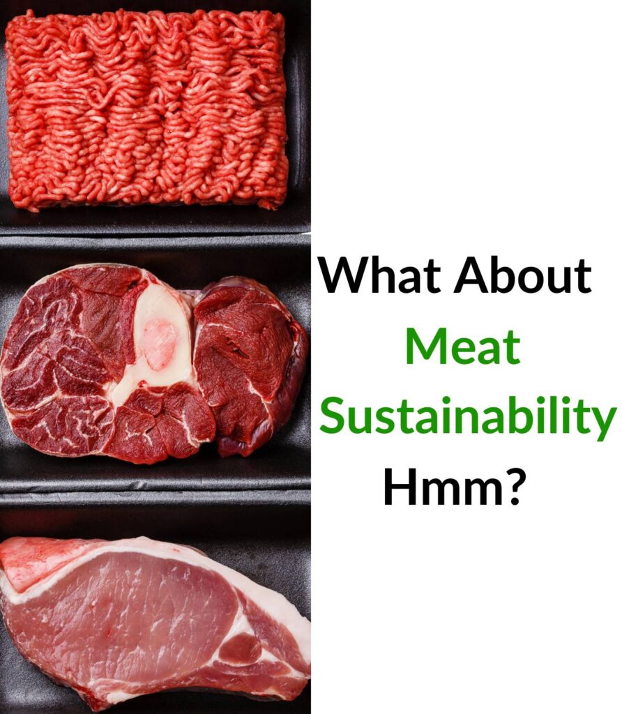 Image of Meat by Canva. 
Blog Post on The Talk on Meat Sustainability - Chicken, Cow or Goat? #sustainablemeat #sustainablechickenmeat #sustainablecowmeat #sustainablegoatmeat #ecofriendlymeat #meatsustainability #emissionofmeat #wecareearth 