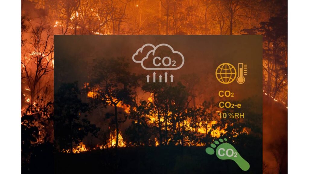 Image of Carbon Emission causing Forest Fire by Canva. 
Blog Post on The Talk on Meat Sustainability - Chicken, Cow or Goat? #sustainablemeat #sustainablechickenmeat #sustainablecowmeat #sustainablegoatmeat #ecofriendlymeat #meatsustainability #emissionofmeat #wecareearth 