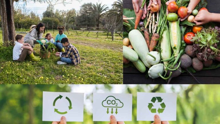 Tips for sustainable living, 20 Ways to start your green life