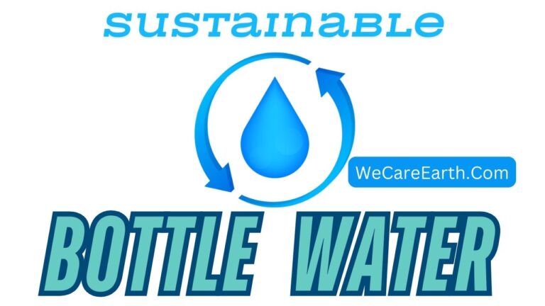 LifeWtr vs. Aquafina | Sustainable vs. Traditional Bottle Water