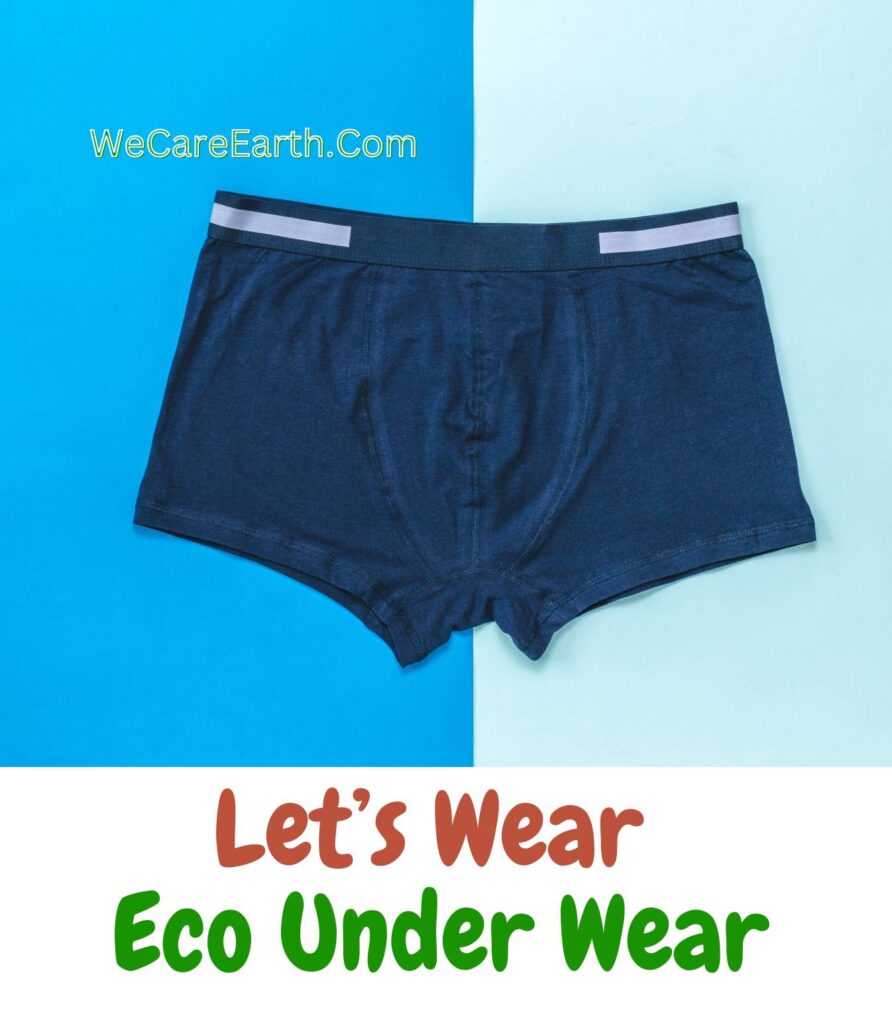 7 Brands Selling Ecofriendly Underwear For Men & Women -2024
Key Words :- #ecofriendlyunderwear #modernunderwears #sustainableunderwear #bamboounderwear #recycledunderwear #wheretobuyecofriendlyunderwear #wecareearth #greenbrandsblogs 
