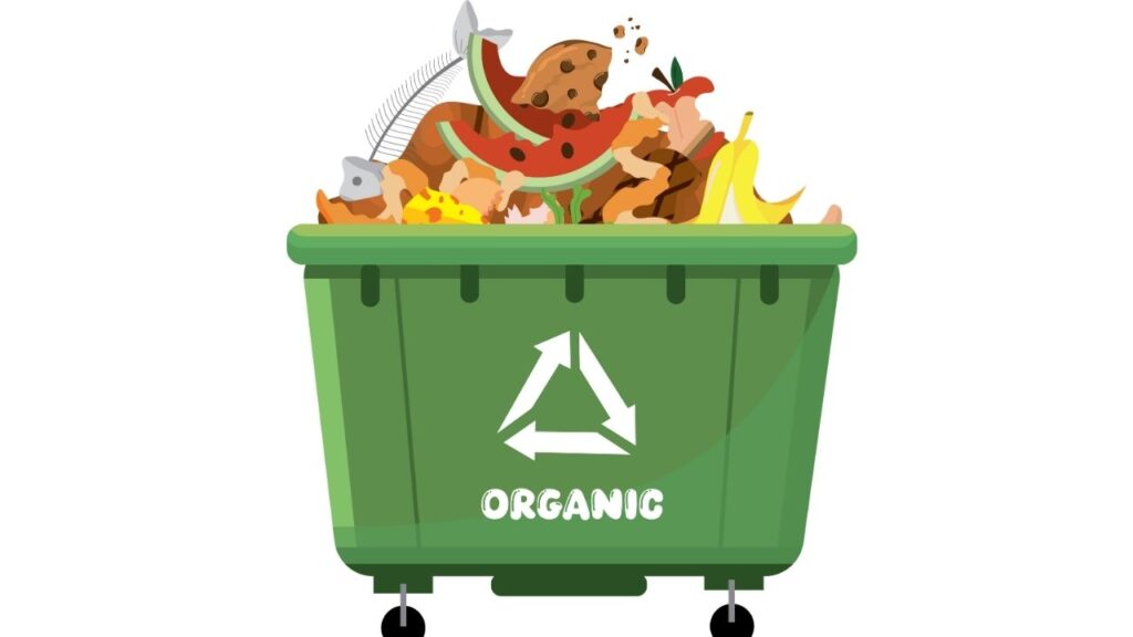 Ultimate Guide to Waste Management |From Trash to Treasure| Types of waste, Organic Waste #wastemanagement #articleonwastemanagement #howtomanagewaste #trashmanagement #guidetowastemanagement #wecareearth