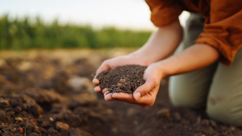 Image of Soil by Canva. #ecofriendlyfarming #organicfarming #regenerativeagriculture #ecofriendlyagriculture #wecareearth 