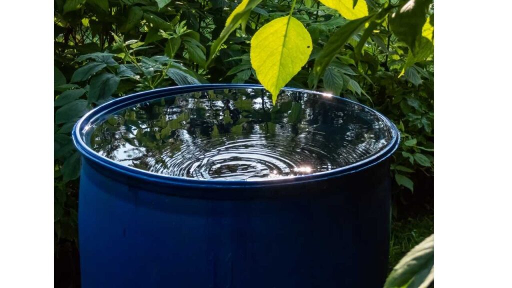 Image of Rainwater Conservation by Canva.  
#ecofriendlyfarming #organicfarming #regenerativeagriculture #ecofriendlyagriculture #wecareearth 